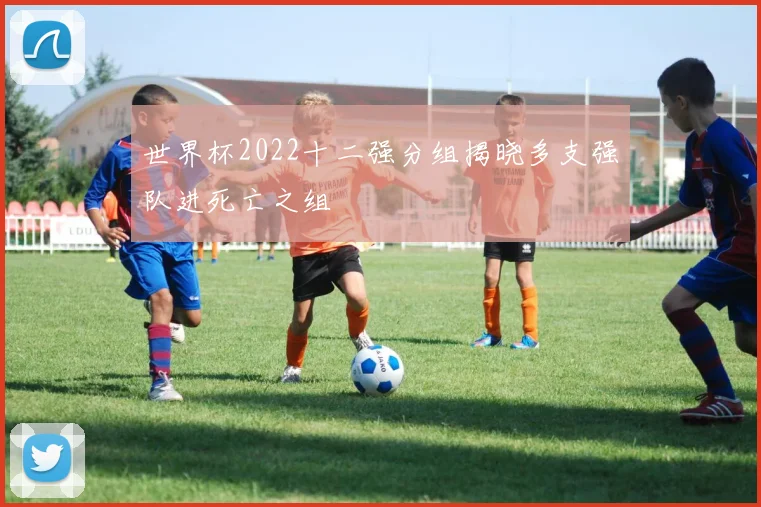 世界杯2022十二强分组揭晓多支强队进死亡之组