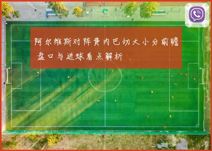 阿尔维斯对阵费内巴切大小分前瞻 盘口与进球看点解析