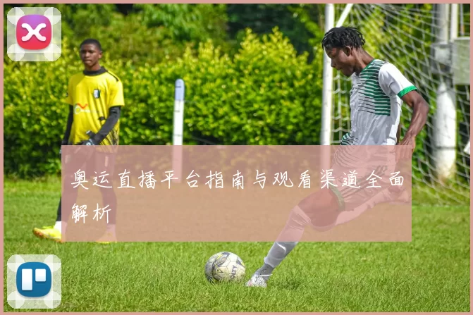 奥运直播平台指南与观看渠道全面解析