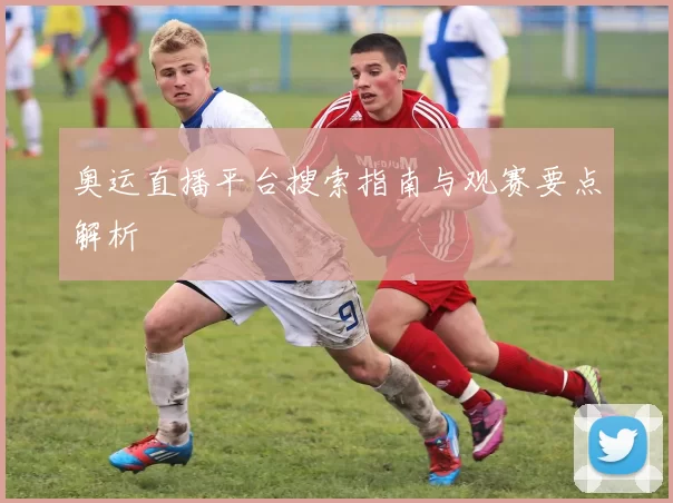 奥运直播平台搜索指南与观赛要点解析