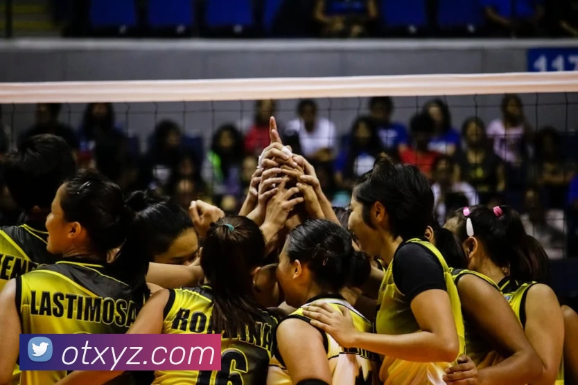 完美体育(中国)体育官方网站 - 科技股份有限公司平台生态图