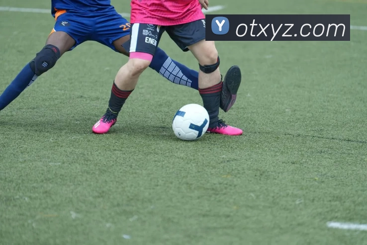 完美体育(中国)体育官方网站 - 科技股份有限公司APP 封面图